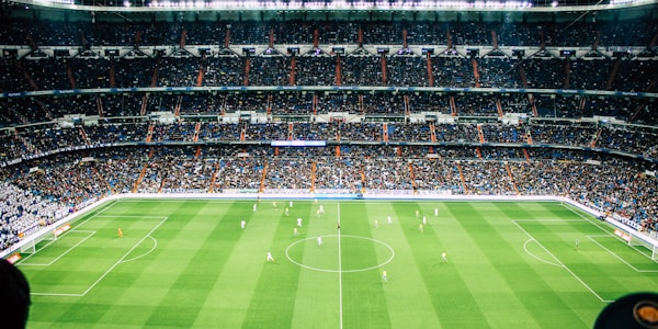 球迷在体育场挥舞旗帜庆祝